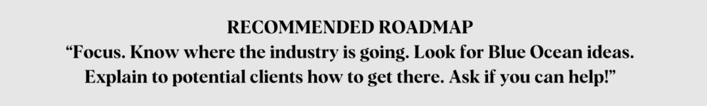 RECOMMENDED ROADMAP “Focus. Know where the industry is going. Look for Blue Ocean ideas. Explain to potential clients how to get there. Ask if you can help!”